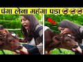 ऊँगली करना महंगा पड़ा  | When Humans Messed With The Wrong Animals