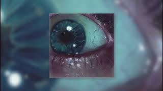 Kambulat — Мой кайф