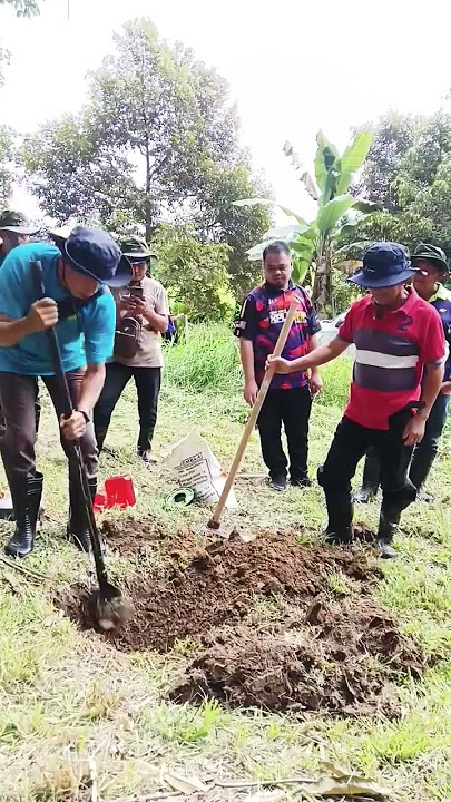 kerja amali kursus penanaman getah#shorts