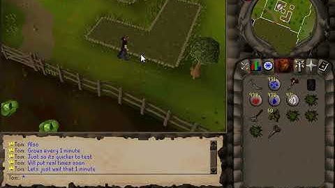 05Redux - 2005 Runescape remake - Farming