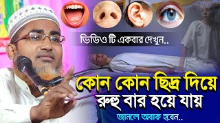 কোন কোন ছিদ্র দিয়ে রুহু বার হয়ে যায়┇Abdulla Hil Maruf waz┇Maruf Saheb Jalsah┇মারুফ ওয়াজ মাহফিল