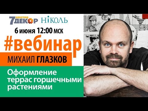 Видео: Идеи для демонстрации комнатных растений – Советы по размещению горшечных растений дома