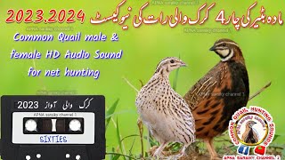 night sounds for quail hunting /  Batair ki Awaz rat ki New