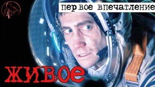 {Первое Впечатление} Живое