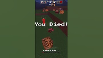 Bruh.. - Roblox Creeper Chaos