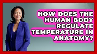 How Does The Human Body Regulate Temperature In Anatomy? - All About Anatomy Answers
