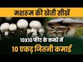 Mushroom farming   1    how to start mushroom farming  pawan