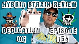 Hybrid Strain Review- Dedication OG