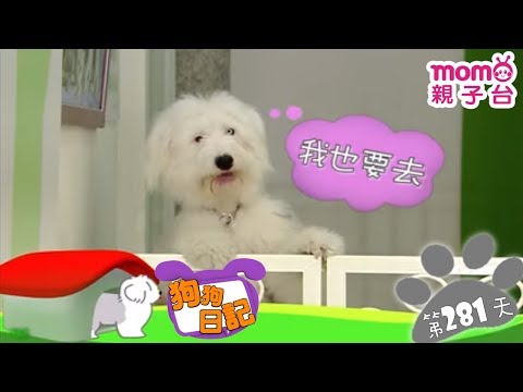 【狗狗迷路了】狗狗日記：誕生第281天 │ momo親子台【官方HD完整版】 - 【狗狗迷路了】狗狗日記：誕生第281天 │ momo親子台【官方HD完整版】