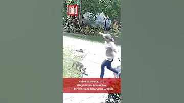 Бешеная лиса напала на женщину