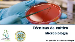 Técnicas de siembra Microbiología