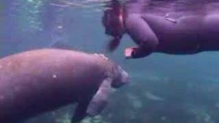 Choice for Change (Help stop manatee abuse)