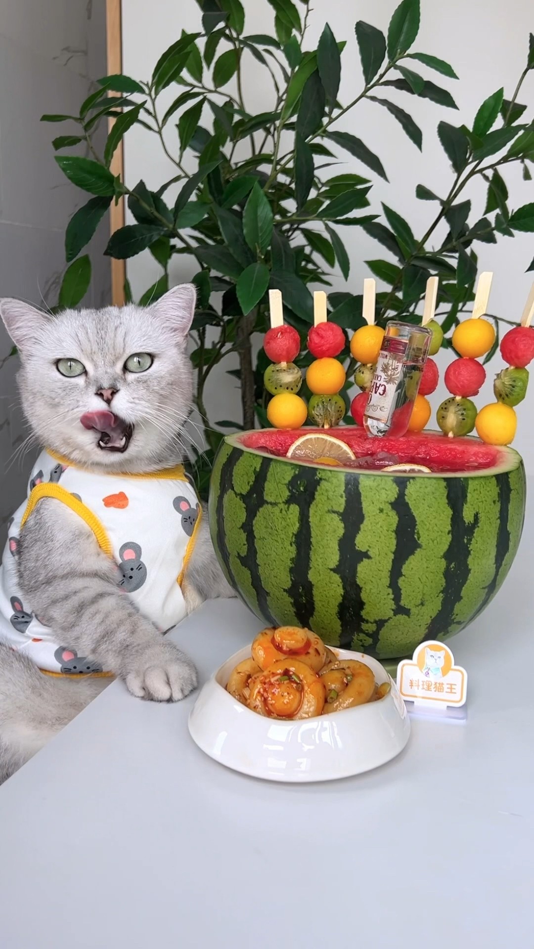 ?Stay Cool With Watermelon Skewers \u0026 Tea Jelly!?❄️ #catsofyoutube #foodlover #tiktok