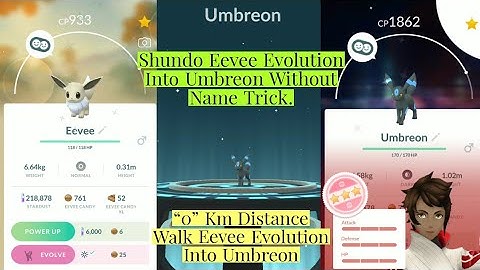 Evolve Eevee Into Umbreon During Community Day | Eevee Into Umbreon Evolution | Eevee Community Day