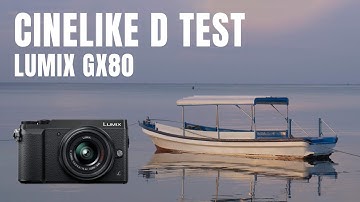 Cinelike D Hack for Panasonic Lumix GX80/85 14-42 Lens Test Footage