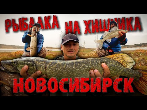 Открой для себя удивительный мир рыбалки на хищника в НОВОСИБИРСКЕ!!!