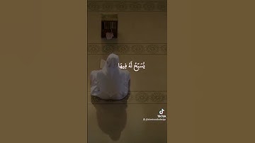 في بيوتٍ أذِن الله أن تُرفع ويُذكر فيها اسمه - سورة النور أحمد خضر #سورة_النور #القرآن_الكريم