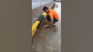 Remove Trash Clogged Culvert Drain #drain #unclog #remove #culvert #shorts