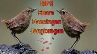 MP3 PA CINGAN JONGKANGAN DI JAMIN LANGSUNG RESPON
