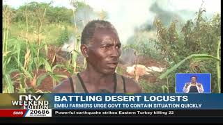 Locust Invasion: Destructive desert locusts cross into Embu from Mwingi