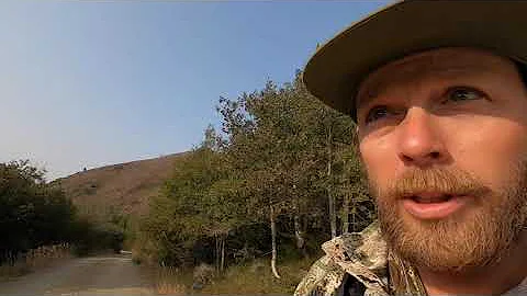 Wyoming Mule Deer Part 2