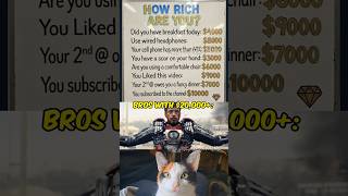 Celebrity How much MONEY you win? 🤑💸 #nobatidao Wealth