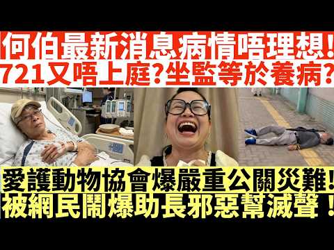 何伯最新消息病情唔理想!|721又唔上庭?坐監等於養病?|井仔點睇 #何伯認襲何太案 #何伯昨午出院後晚上再入院 #官再押後何伯判刑至721 #何伯 #何伯開庭 #何伯坐監 #何太坐監 #何伯入院