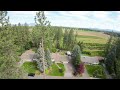 Tree topping a 118ft Pine