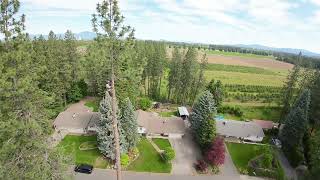 Tree topping a 118ft Pine