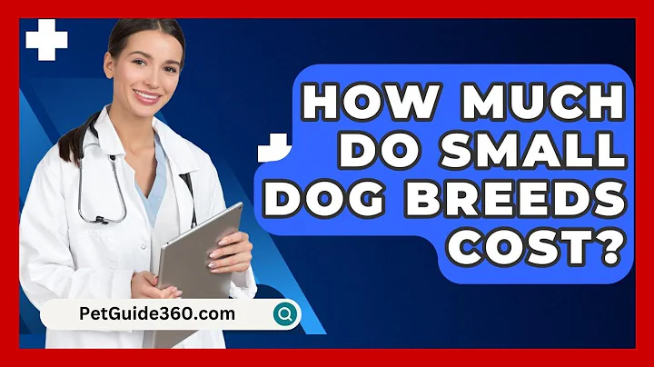 How Much Do Small Dog Breeds Cost? - PetGuide360.com