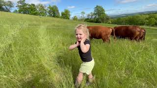 Checking cows with Parker