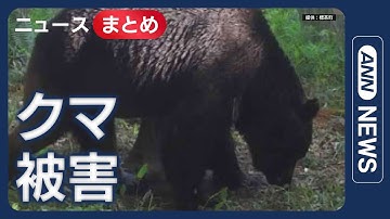 【クマ被害】泣く泣く柿の木を伐採…クマ出没で仕方なく “日本の原風景”に異変 /柿の木に登り… 今季一番の寒さも冬眠せず？【ニュースまとめ】(2025年12月11日～14日) ANN/テレ朝 LIVE
