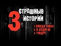 Сборник - 3 страшные истории на ночь / Соседи снизу / В подвале / Тундра