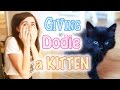 Giving Dodie a Kitten