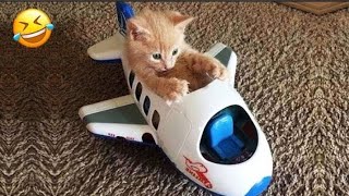 New Funny Animals 2023 😍😁 Funniest Cats and Dogs Videos 😹🐶#cute #animals