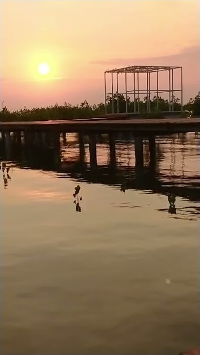 Mentahan video sunset di pantai | Story wa