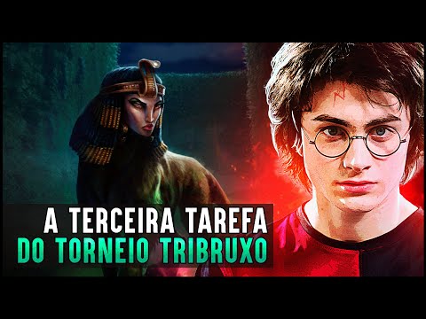 Vídeo: O torneio tribruxo continuou?