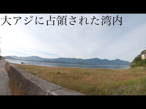 巨大なアジが占領する真夏の海にルアーを投げると・・・