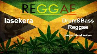 Drum & Bass Reggae Jungle mix 2014