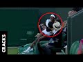 Serena Williams se sienta sobre fanático por esta razón