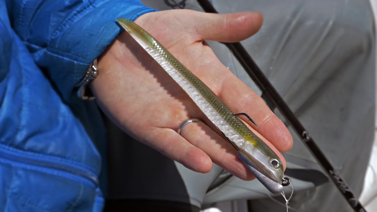 How To: Rig the Hogy Sand Eel for Stripers 