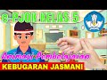 Pembelajaran Pjok Kelas 5