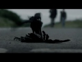 Crowman  official trailer