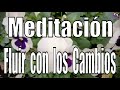 Meditación. Fluir con los Cambios.