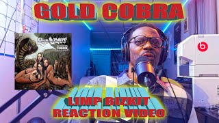 My First Time Hearing Gold Cobra by Limp Bizkit - (Reaction Video)