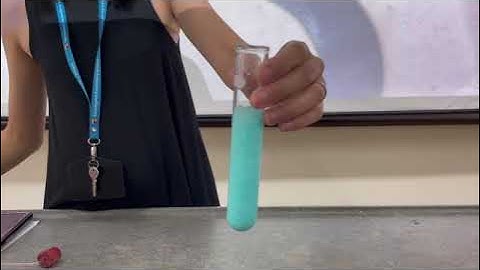 2020 Singapore GCE O-Level Science Chemistry Practical Examination