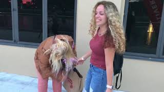 Silly string attack