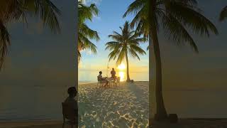 Dine In Serenity On The Shores Of Vilamendhoo Maldives, Where Every Bite Is A Taste Of Paradise.