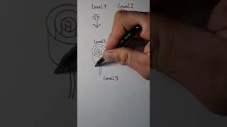 How To Draw Beautiful Rose In 5 Level