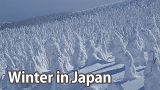 Winter in Japan by Japan Video Topics - English 2,210 views 4 months ago 2 minutes, 21 seconds